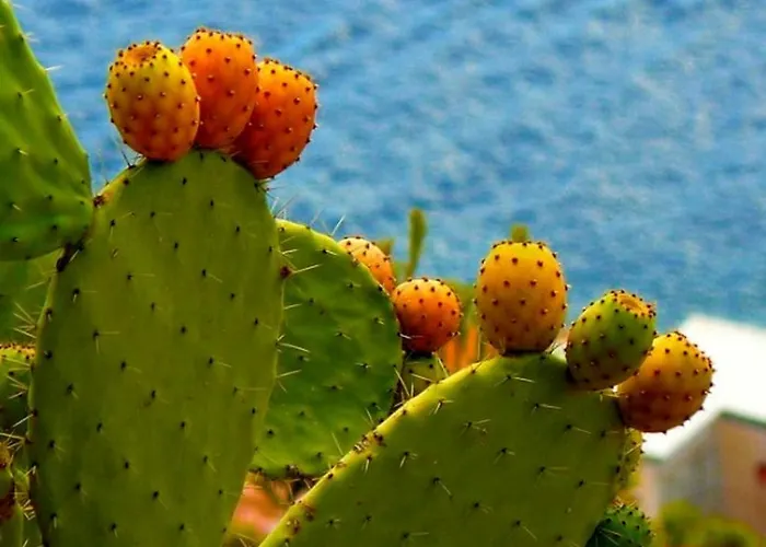 Semesterbostad Fronte Mare